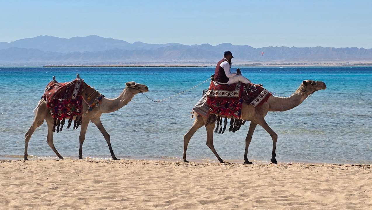 Strand ROBINSON SOMA BAY