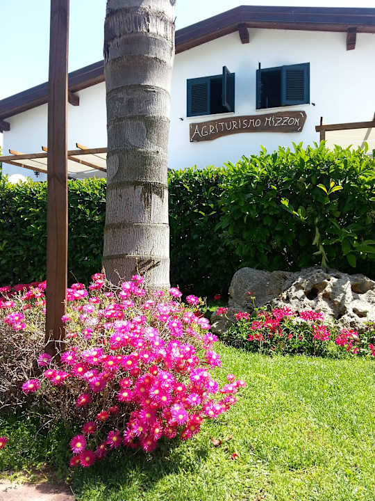 Agriturismo F.lli Mizzon Agriturismo Fratelli Mizzon
