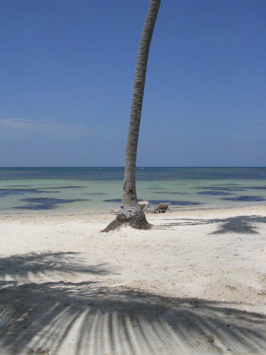 Das ist doch Karibik Catalonia Royal Bavaro - Adults only