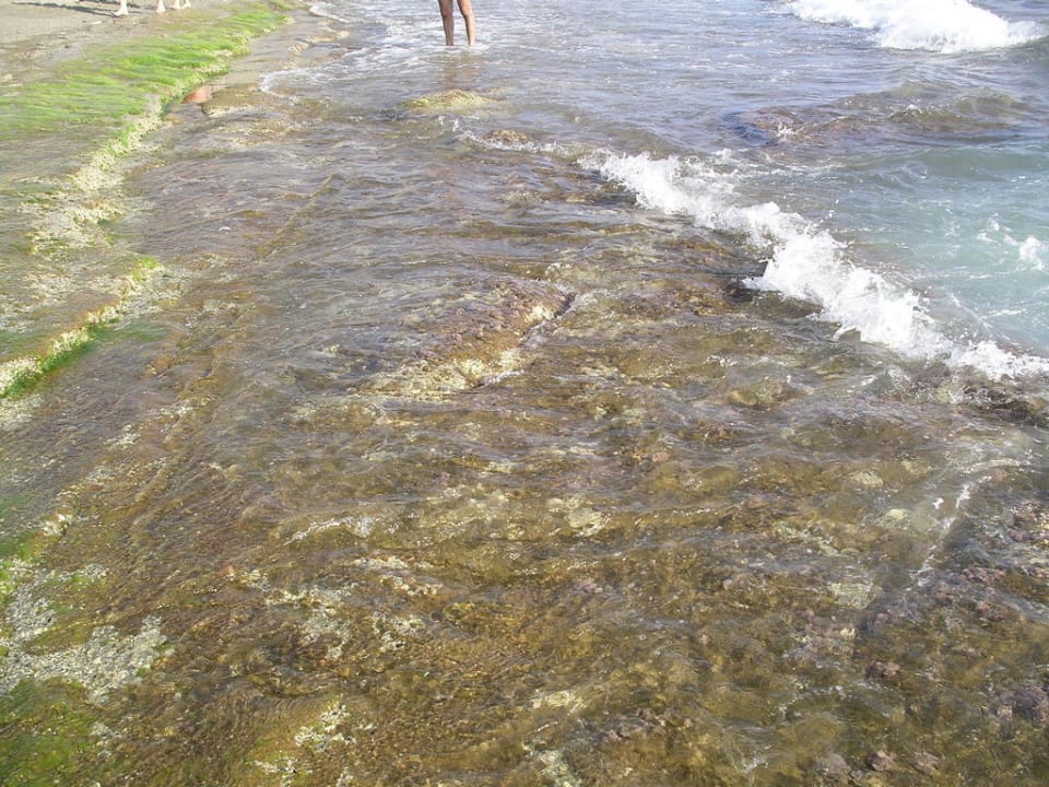 Auf ins Meer Club Hotel Mirabell