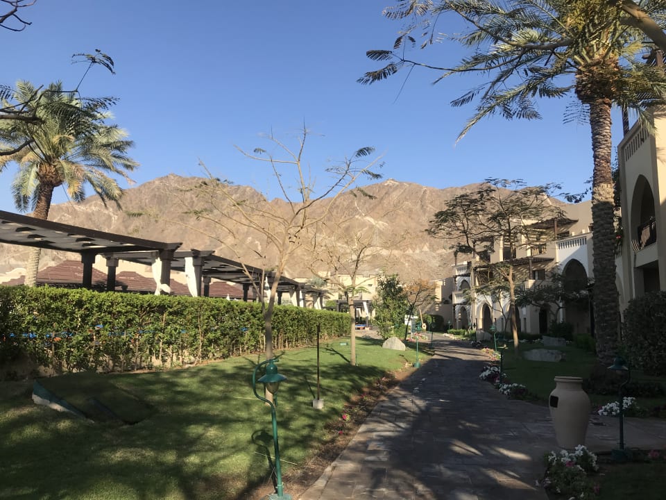 Gartenanlage Miramar Al Aqah Beach Resort