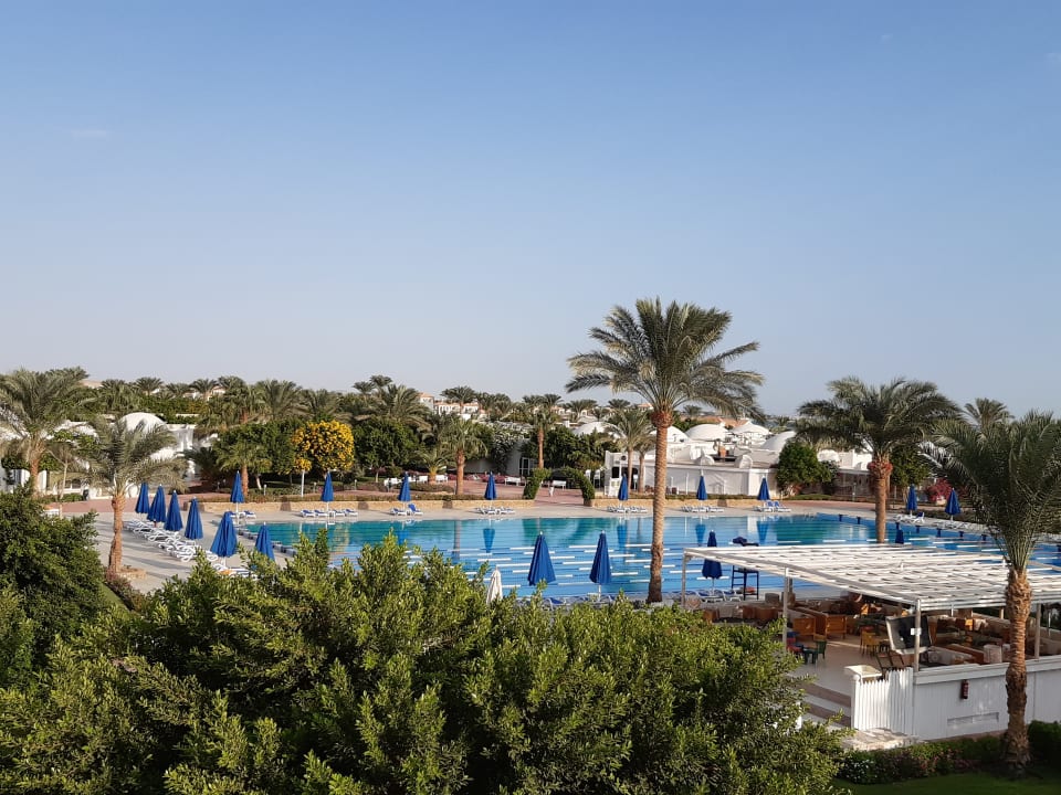 Ausblick Desert Rose