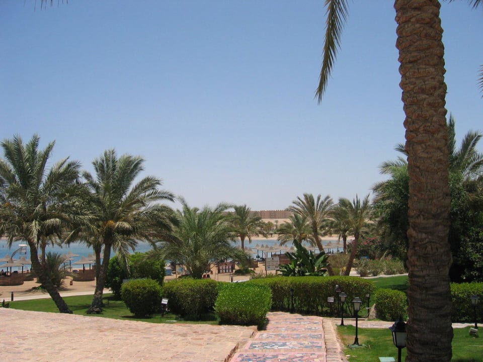 Coraya Beach Steigenberger Coraya Beach - Adults only