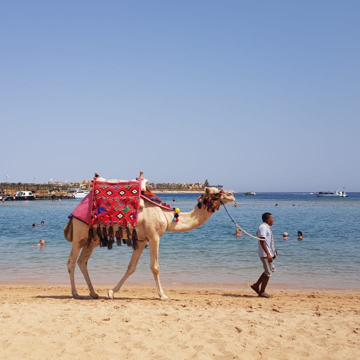 Strand Hotel JAZ Makadi Star & Spa