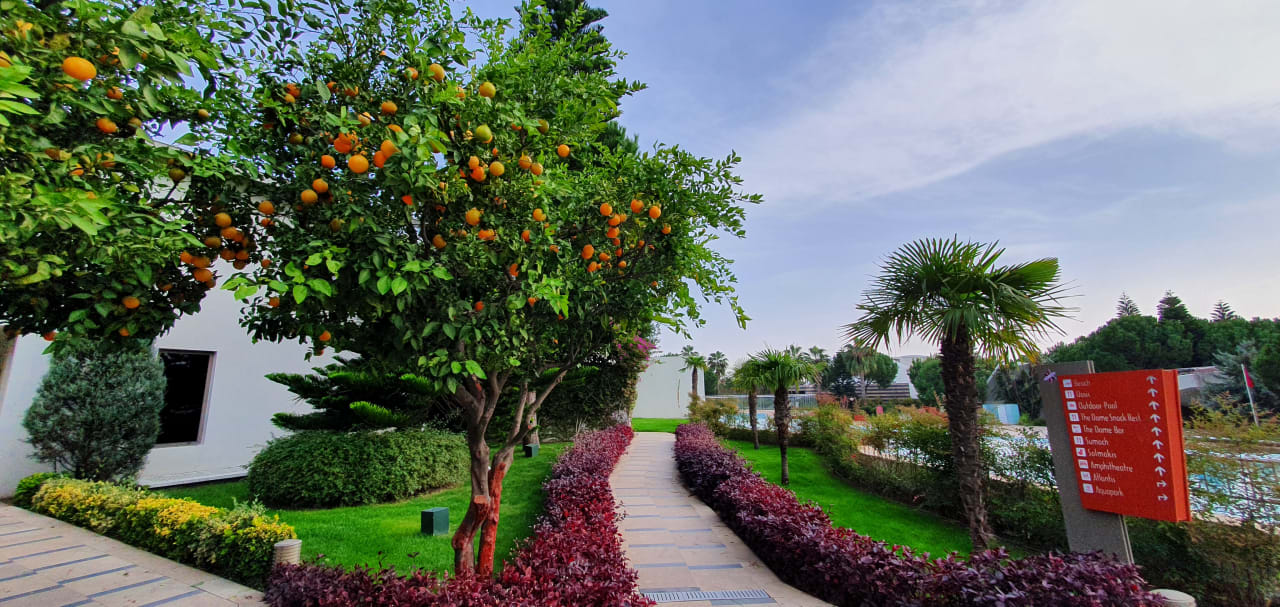 Gartenanlage Cornelia Diamond Golf Resort & SPA