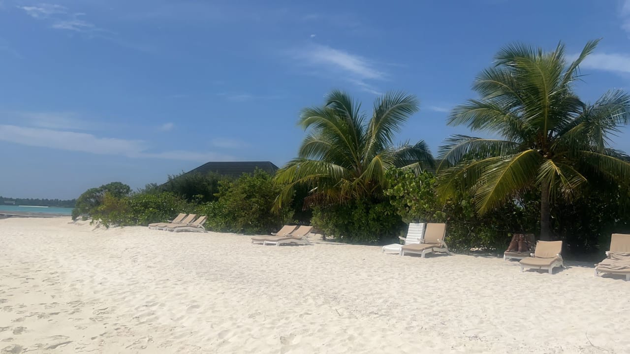 Strand Summer Island Maldives