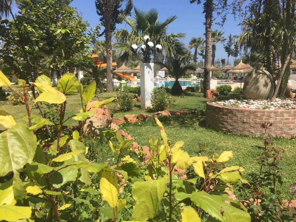 Tuin Miramar Sharm El Kantaoui