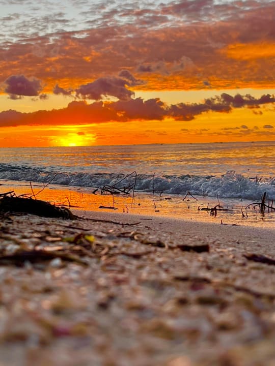 Strand Akumal Bay Beach & Wellness Resort