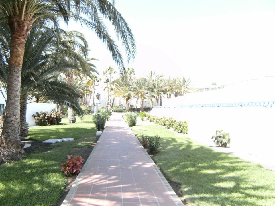 Garten Hotel Riu Paraiso Lanzarote