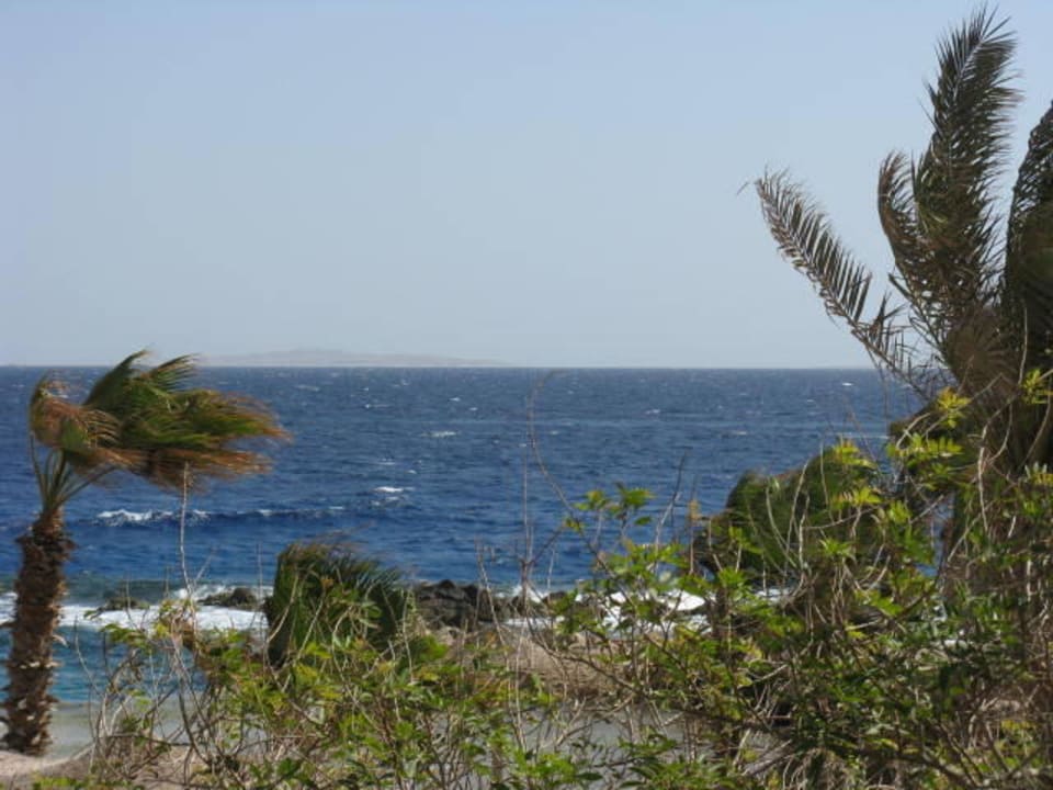 Meerblick Pickalbatros Citadel Resort