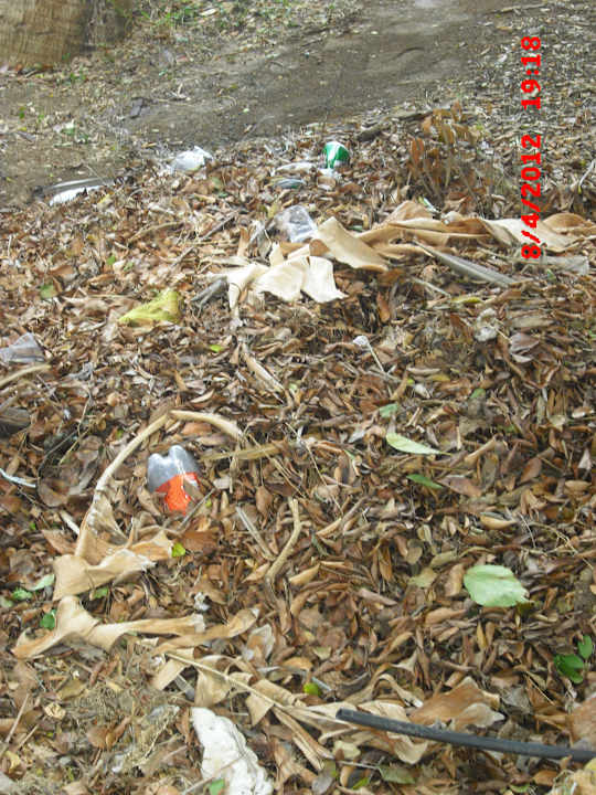 Die gepflegte Gartenanlage Resonance Musique Varadero