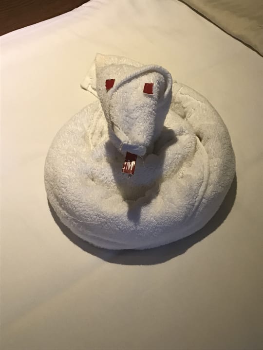 Zimmer Grand Waterworld Makadi & Family Star Makadi