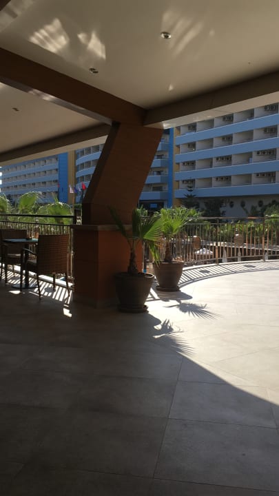 Gastro Dizalya Palm Garden