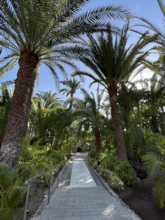 Gartenanlage Hotel Riu Palace Oasis