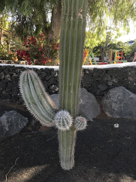 Gartenanlage Relaxia Olivina