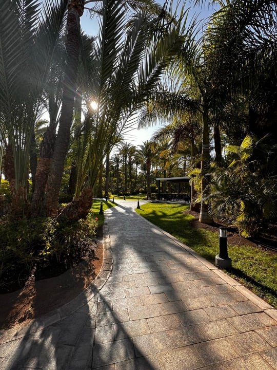Gartenanlage Hotel Riu Palace Oasis