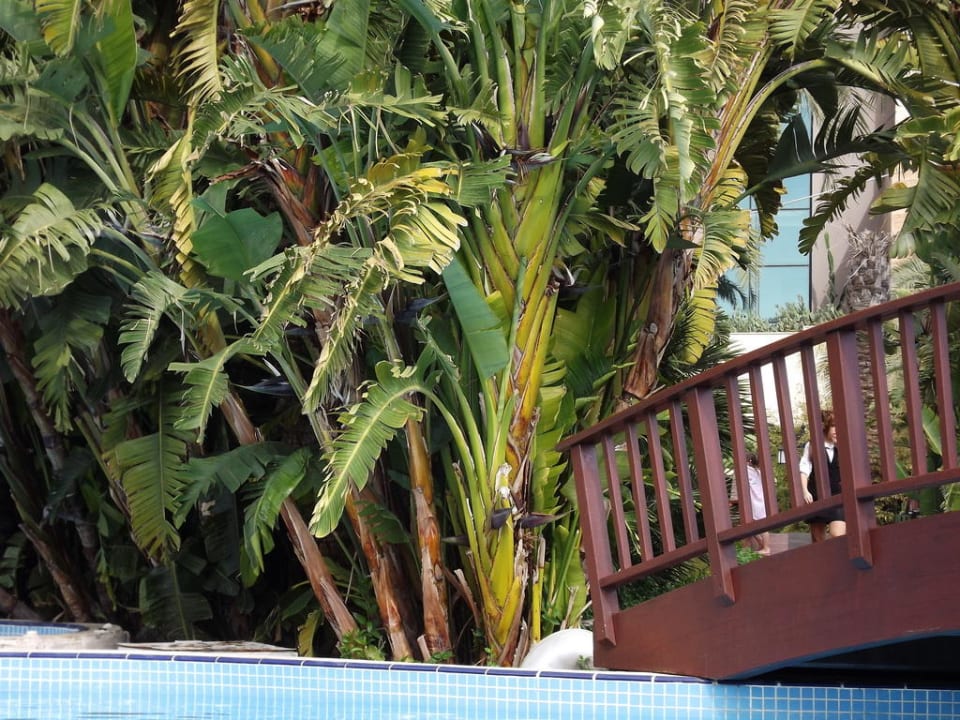 Pool Sunis Kumköy Beach Resort Hotel & Spa