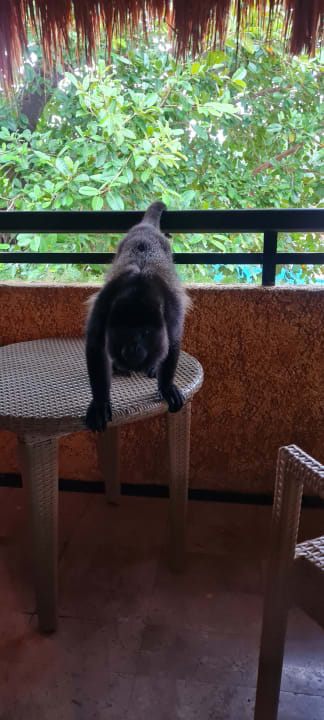 Sonstiges Iberostar Waves Tucan