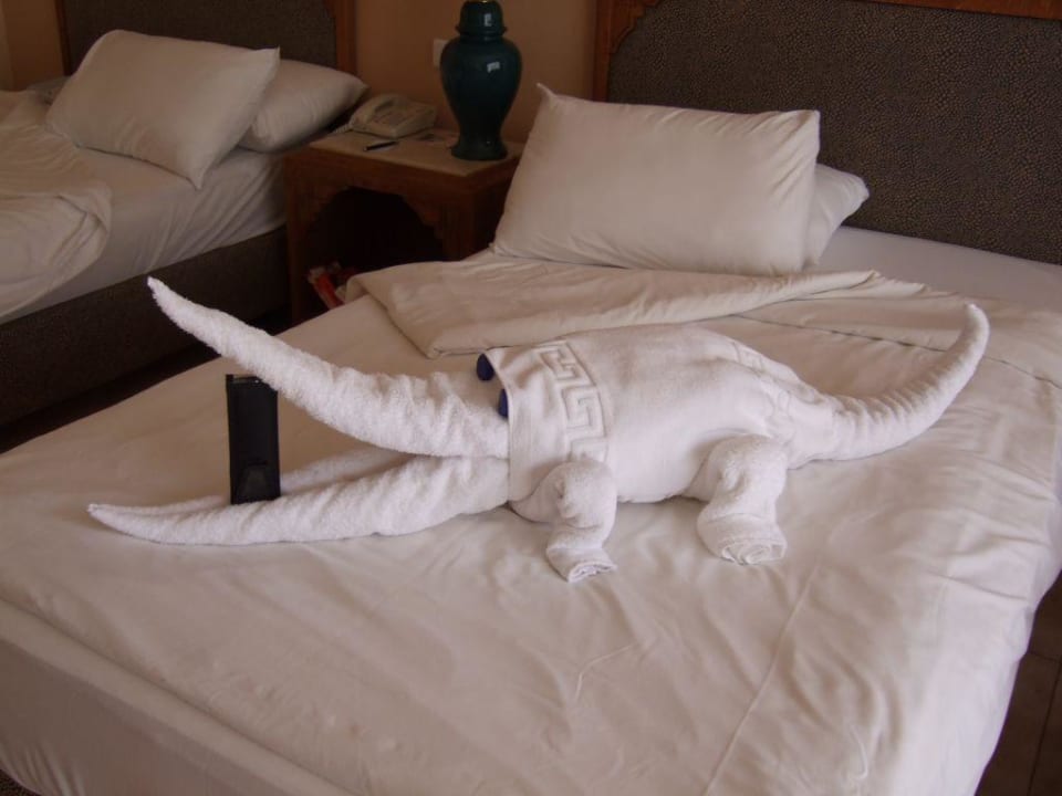 Hilfe - Krokodil im Bett! Parrotel Beach Resort