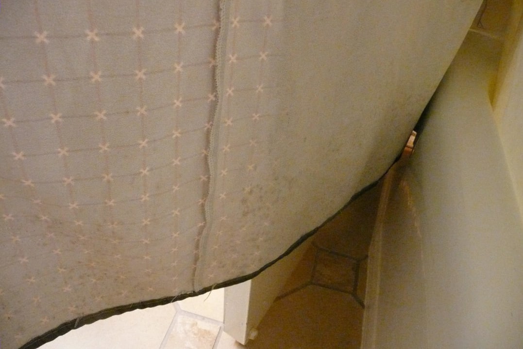 Schimmel am Duschvorhang Hyatt Regency Los Angeles International Airport