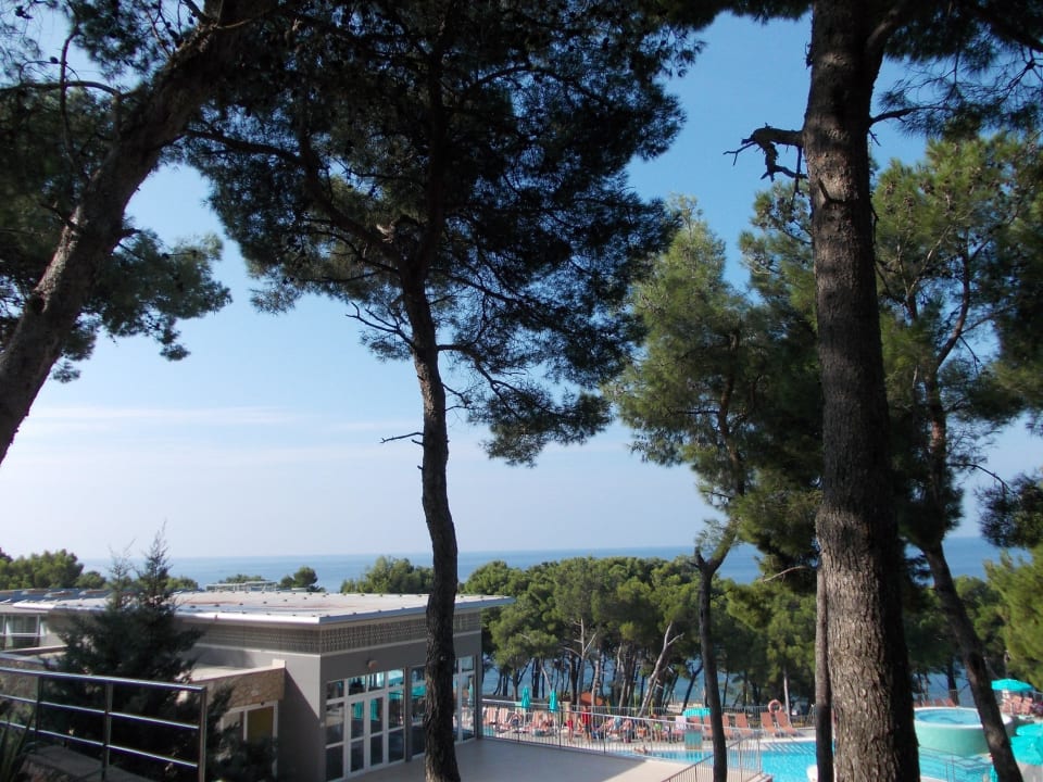 Blick zum Meer Hotel Aurora