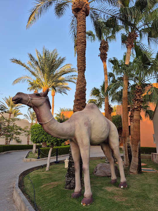 Gartenanlage Jaz Makadina