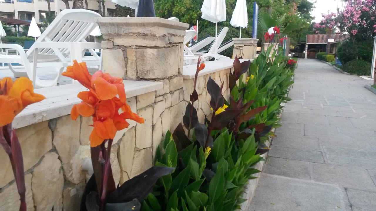 Am Relaxpool Labranda Alantur Resort