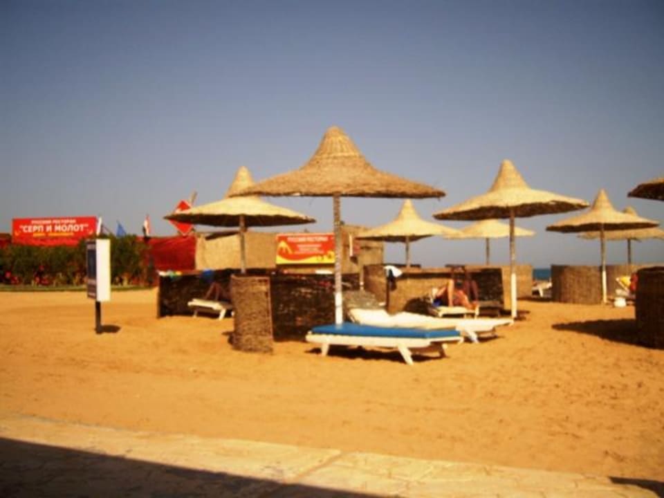 Schirme und Liegen am Strand Aladdin Beach Resort