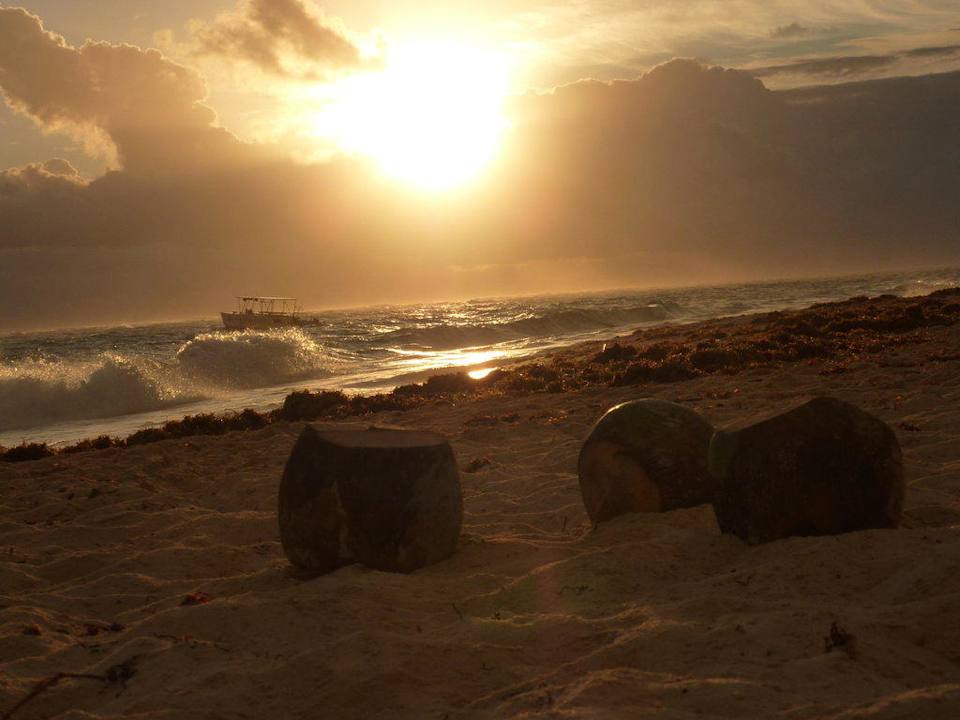 Sonnenaufgang Hotel Riu Bambu
