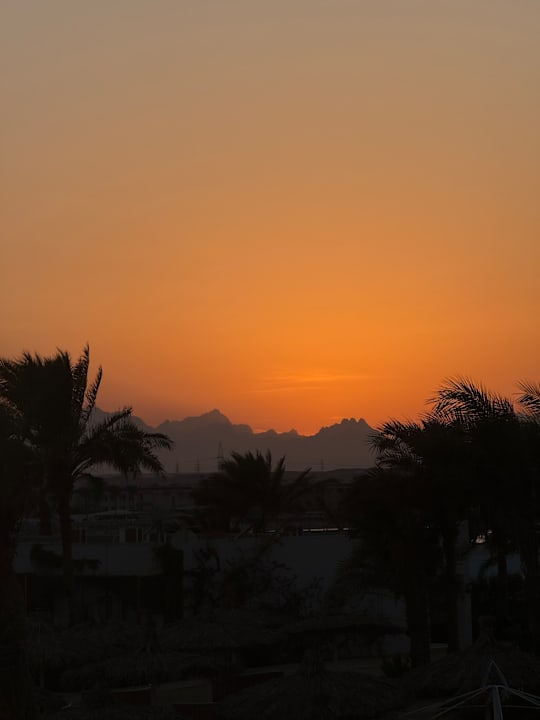 Ausblick Desert Rose