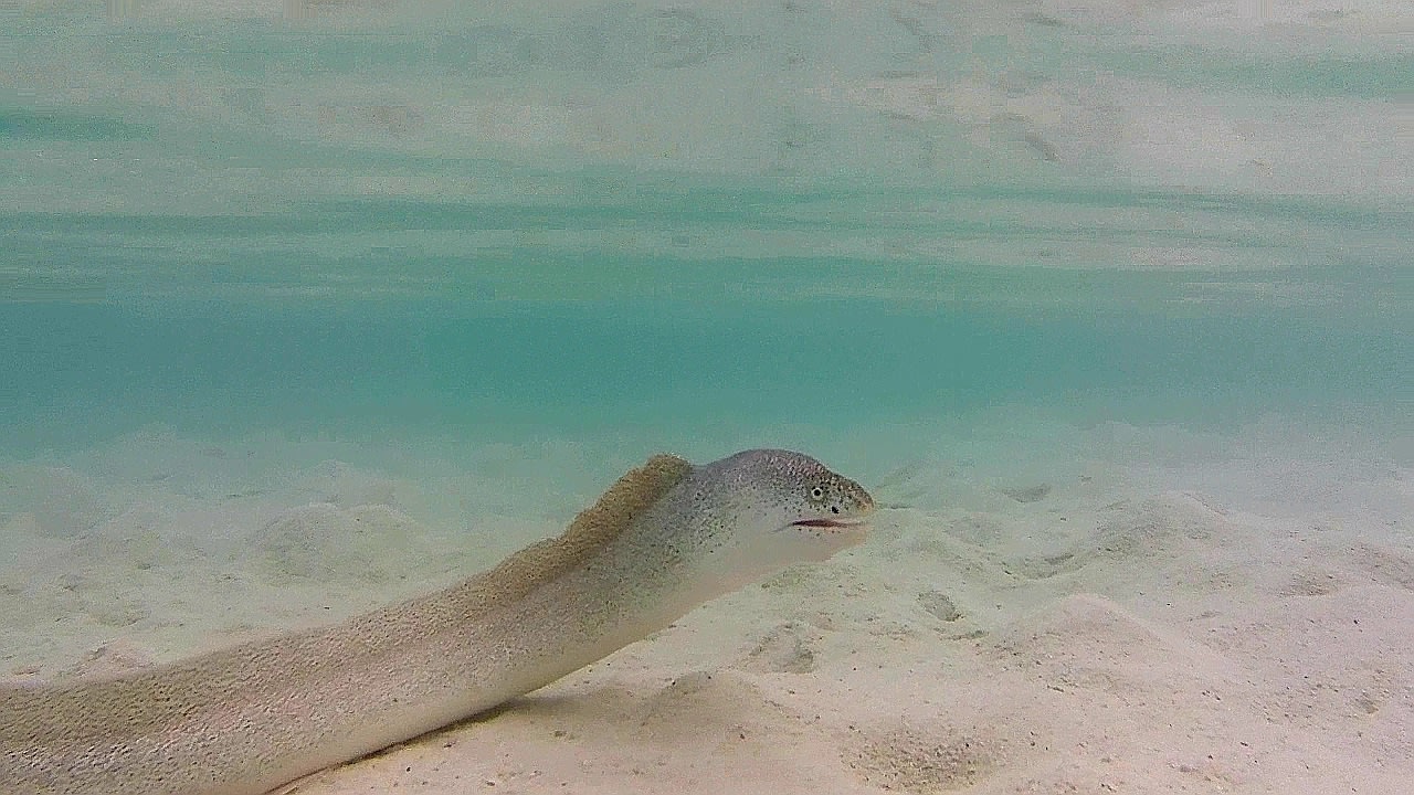 Sport & Freizeit Adaaran Select Hudhuran Fushi - Premium All Inclusive