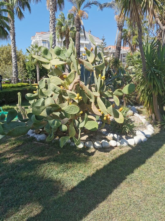 Gartenanlage Trendy Aspendos Beach Hotel