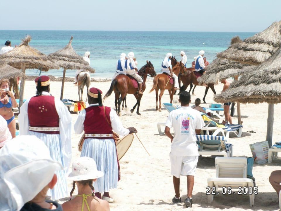 Fantasia Reiterspiele: Auf dem Weg zum Strand Calimera Yati Beach
