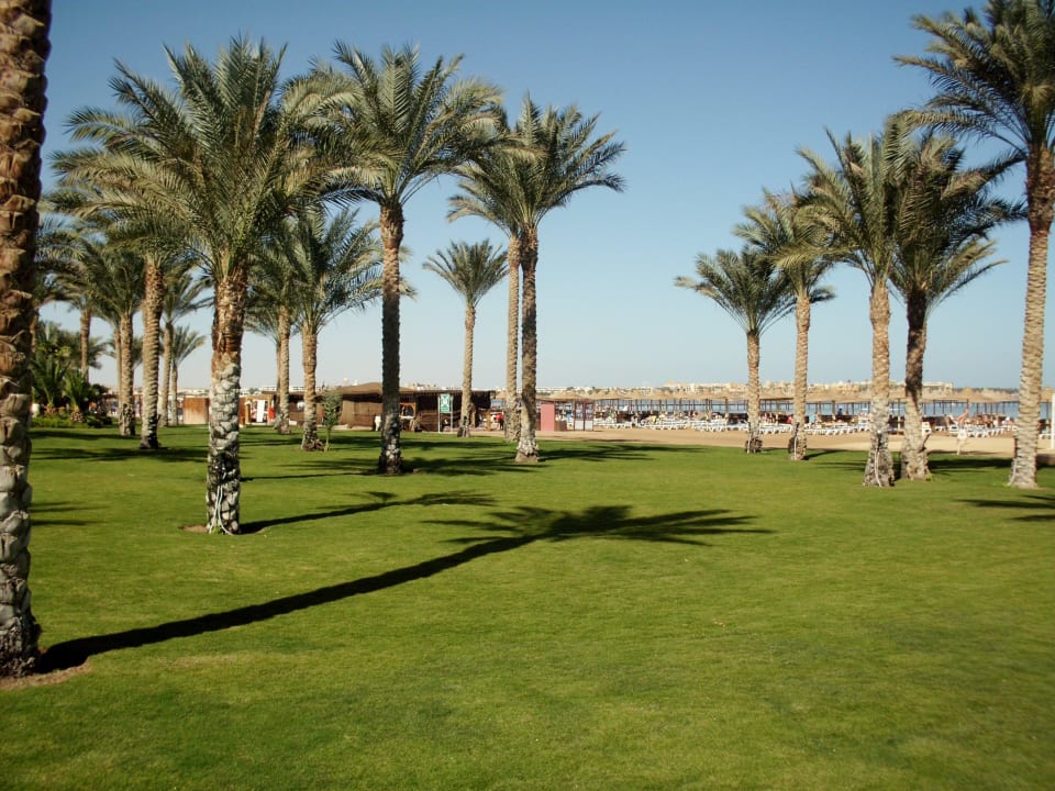 Blick zum Strand Stella Garden Resort & Spa, Makadi Bay