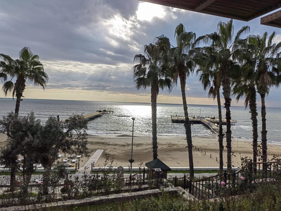 Strand Arum Barut Collection