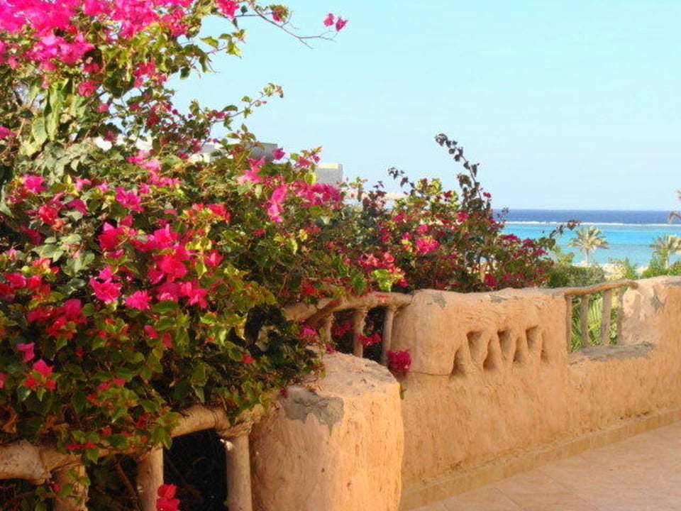 Fiori sulle balconate Dream Lagoon Resort & Aqua Park