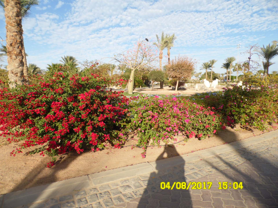 Gartenanlage Steigenberger ALDAU Beach Hotel