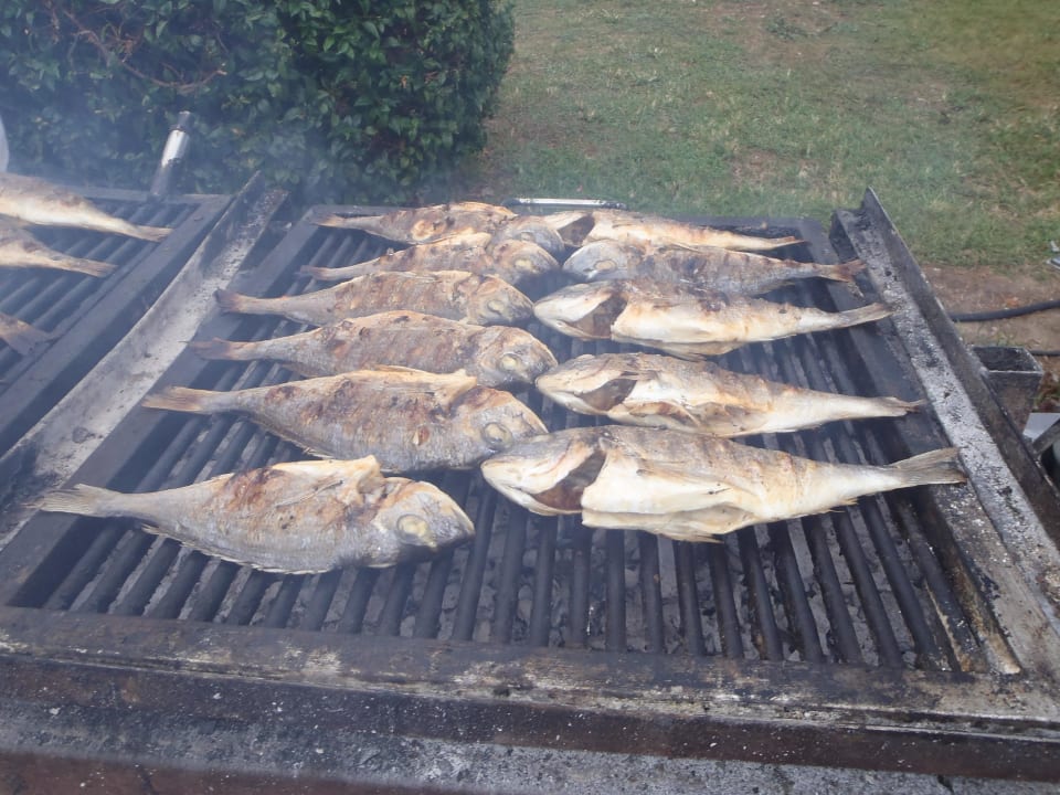 Grill Crystal Aura