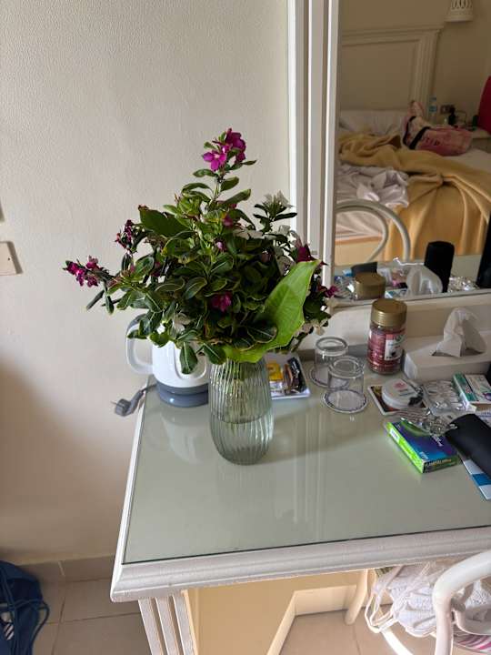 Zimmer Shams Safaga Resort