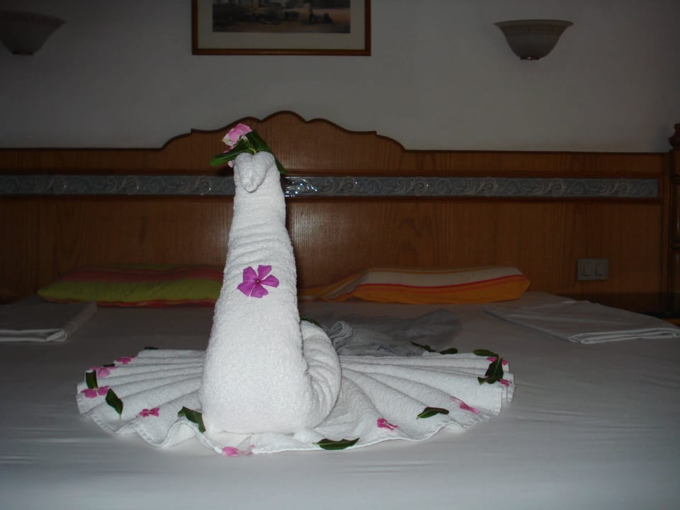 Deko Beach Albatros Resort