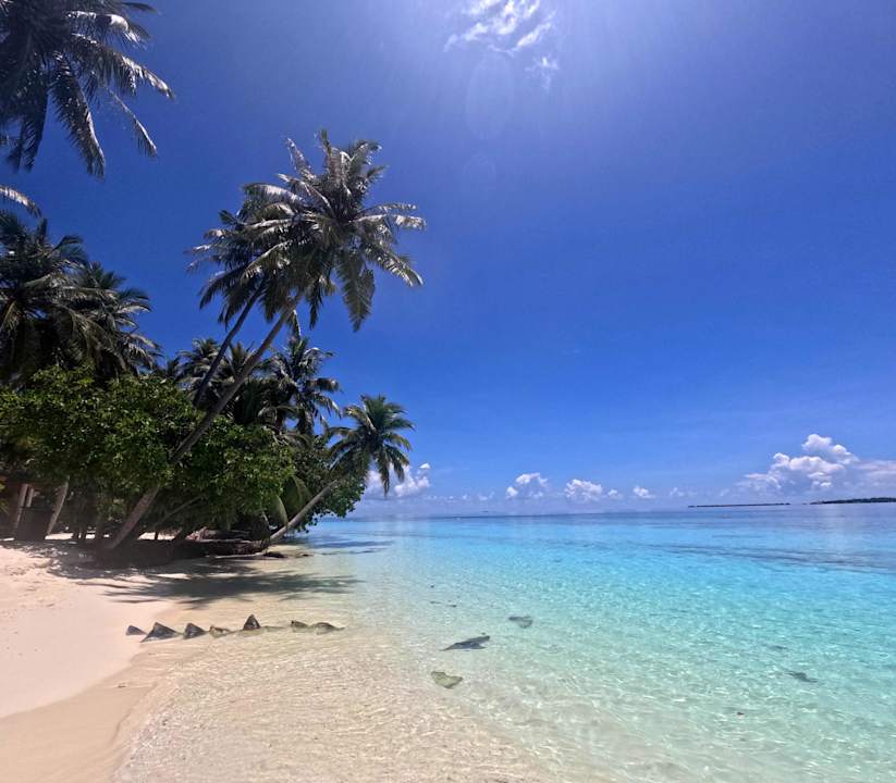 Strand Vilamendhoo Island Resort & Spa