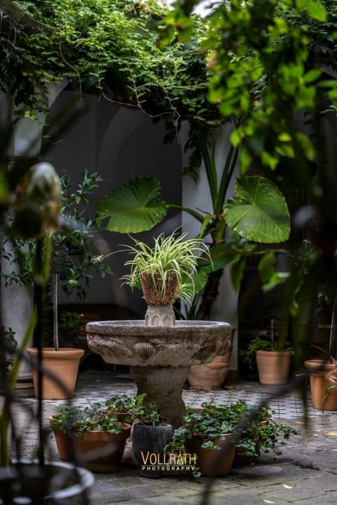 Gartenanlage Hotel Roger de Flor Seleqtta