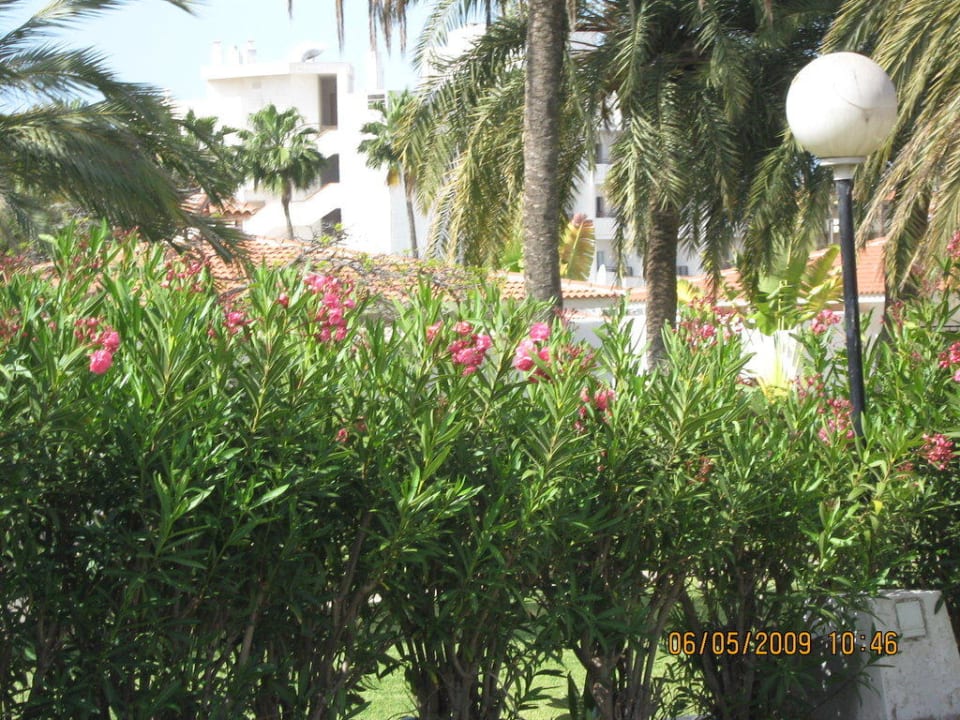 Bungalowanlage HL Miraflor Suites Hotel