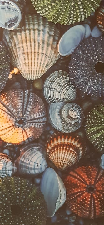 Lobby AluaSoul Palma