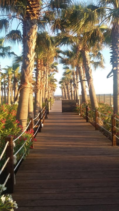Gartenanlage Vidamar Hotel Resort Algarve