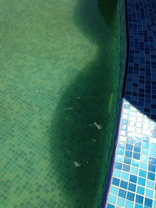 Wasser dreckig Hotel Glarus Beach