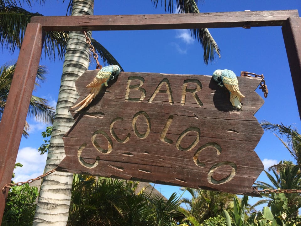 Dic Coco Loco Bar Club Jandia Princess