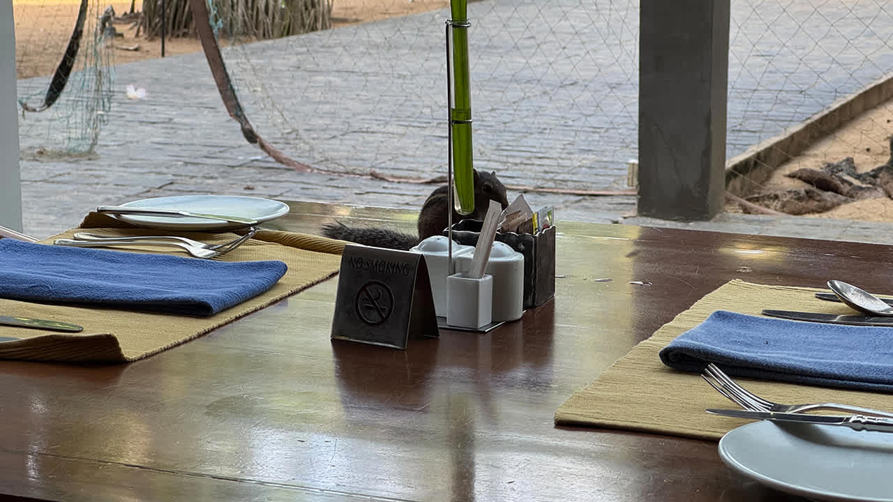 Gastro Hotel Jetwing Beach