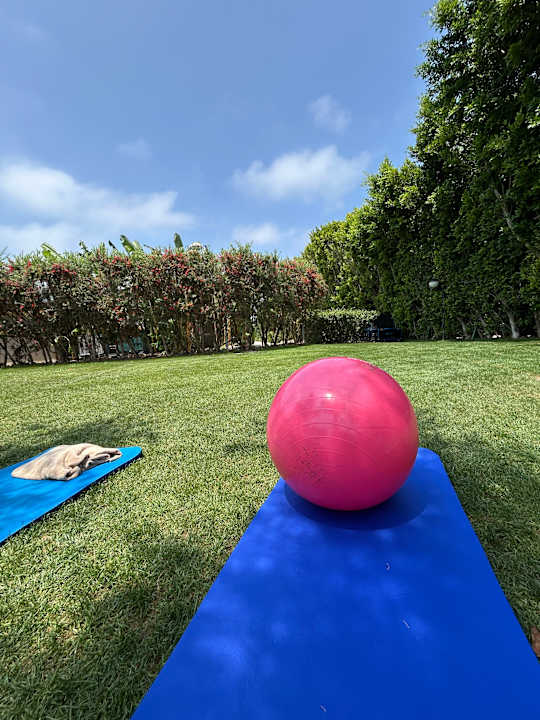 Sport & Freizeit Adalya Elite Lara