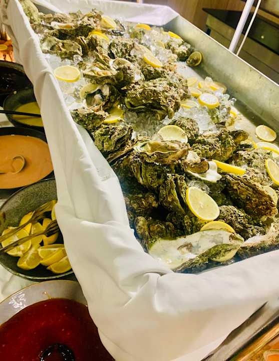 Gastro Delphin BE Grand